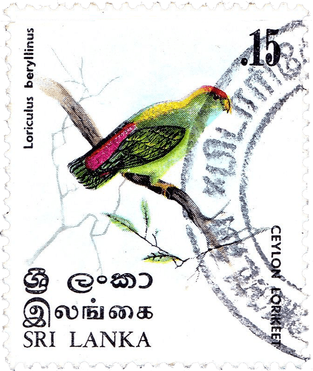 stamp image